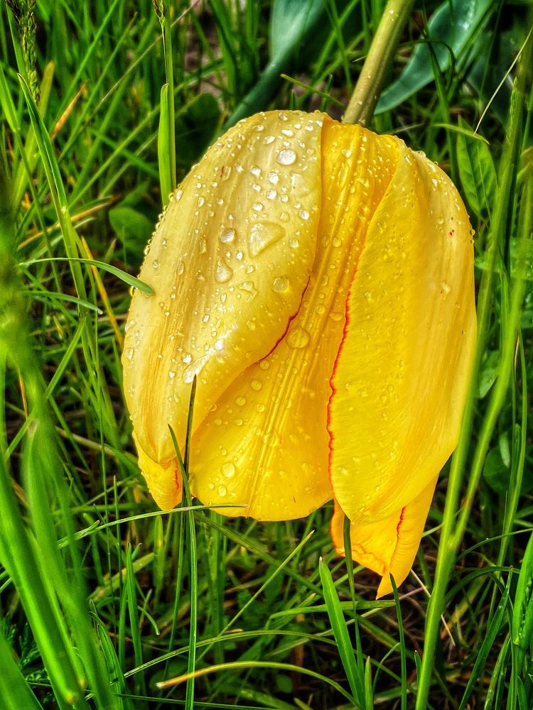 Photograph by Evgenia Privalova