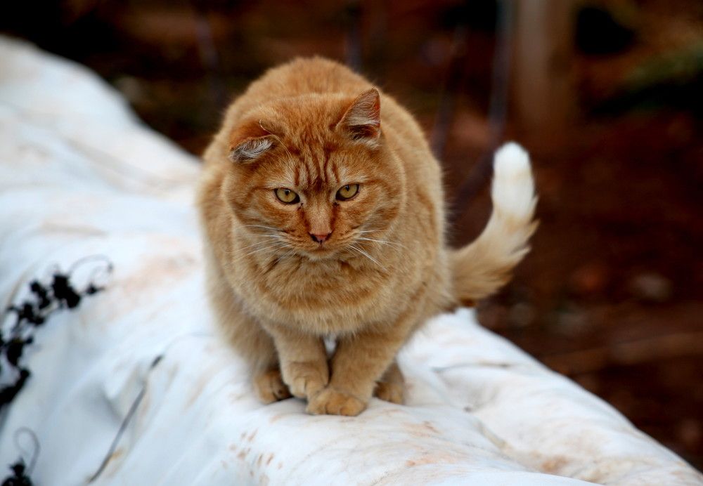 Photograph by Жанна Валиева