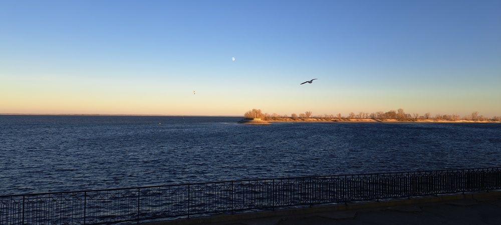 Photo #8957123