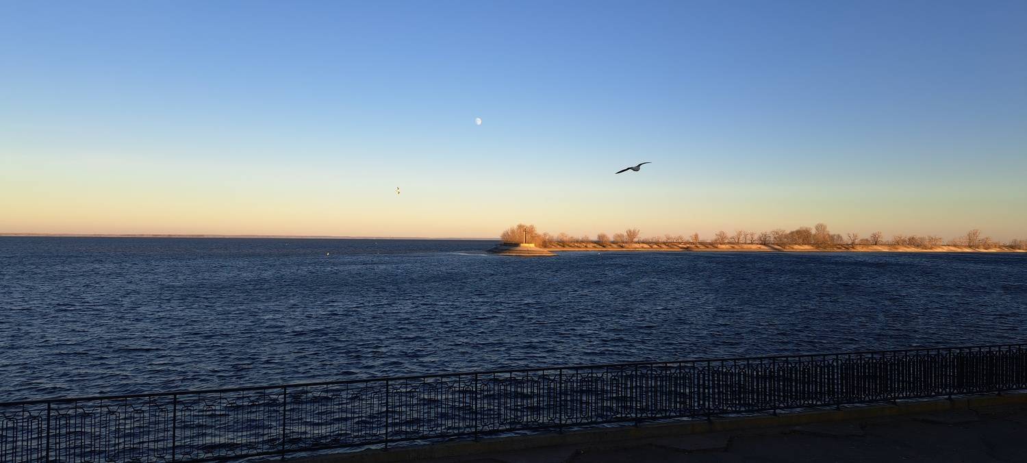 Photo #8957123