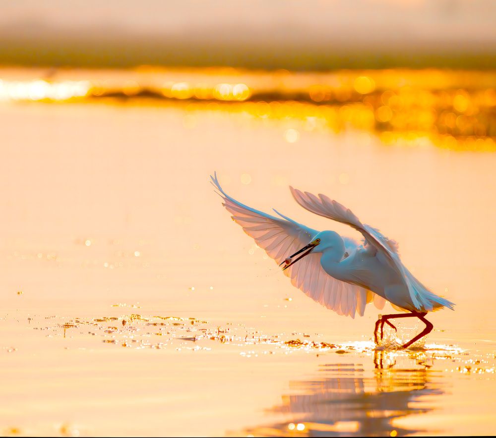 Photograph by Abhishek Manna