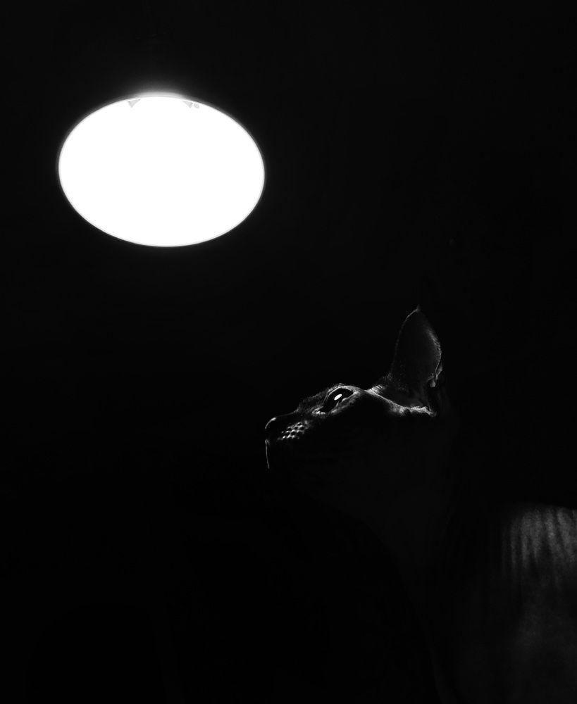 Photograph by Валерия Кутуева