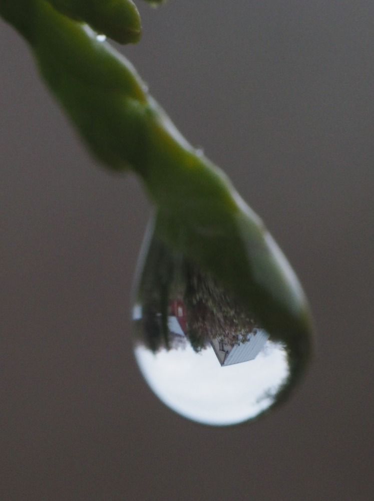 Photograph by Дмитрий Дмитриев