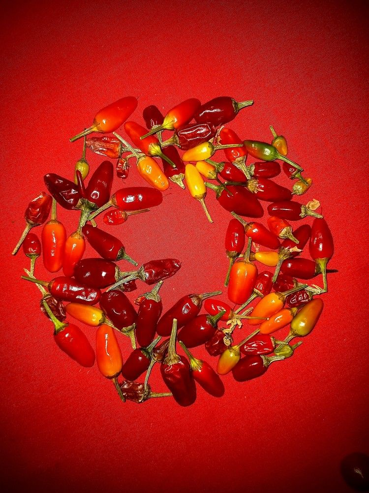 Photograph by Наталья Рассохина