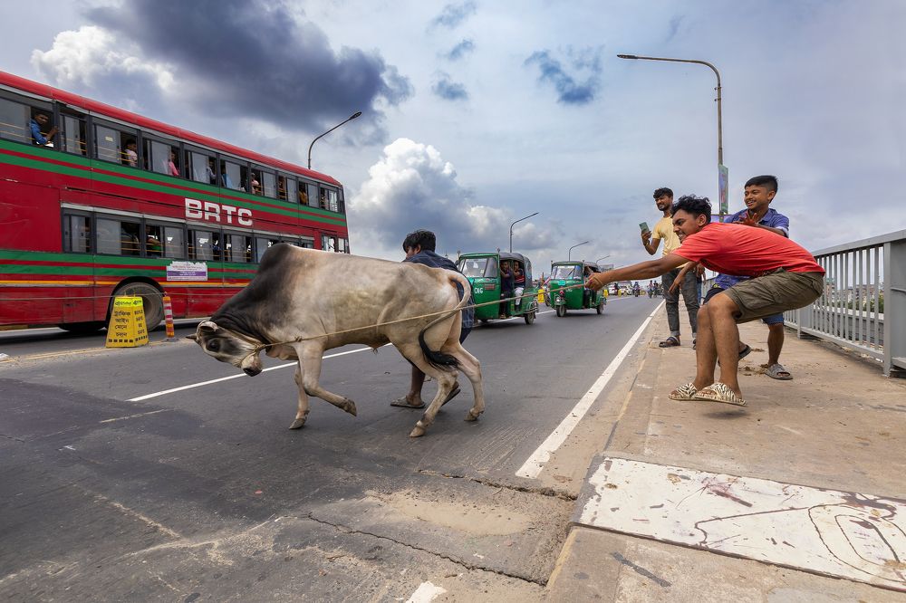 Photograph by Protap Shekhor Mohanto