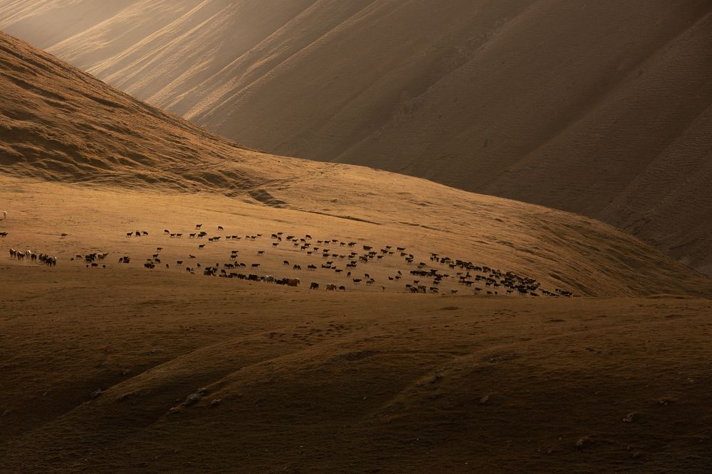 Фотография автора Ilia Vytnov