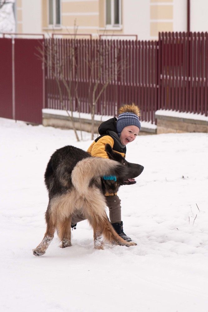 Photograph by Елена Мороз