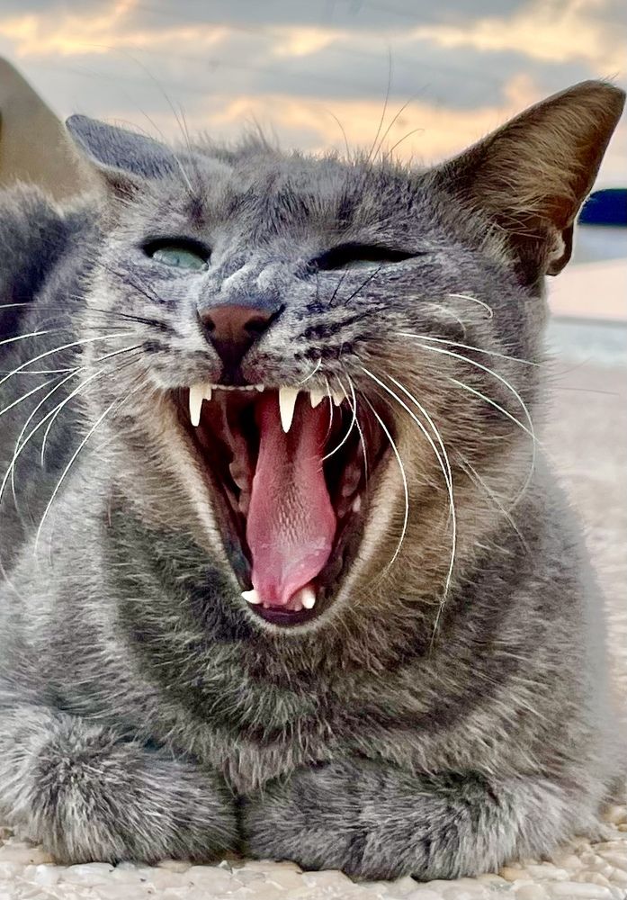 Photograph by Olga Filonenko