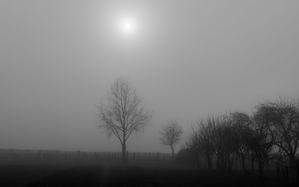 Photograph by Сергей Дишук