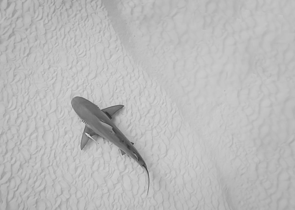 Photograph by mizael palomeque