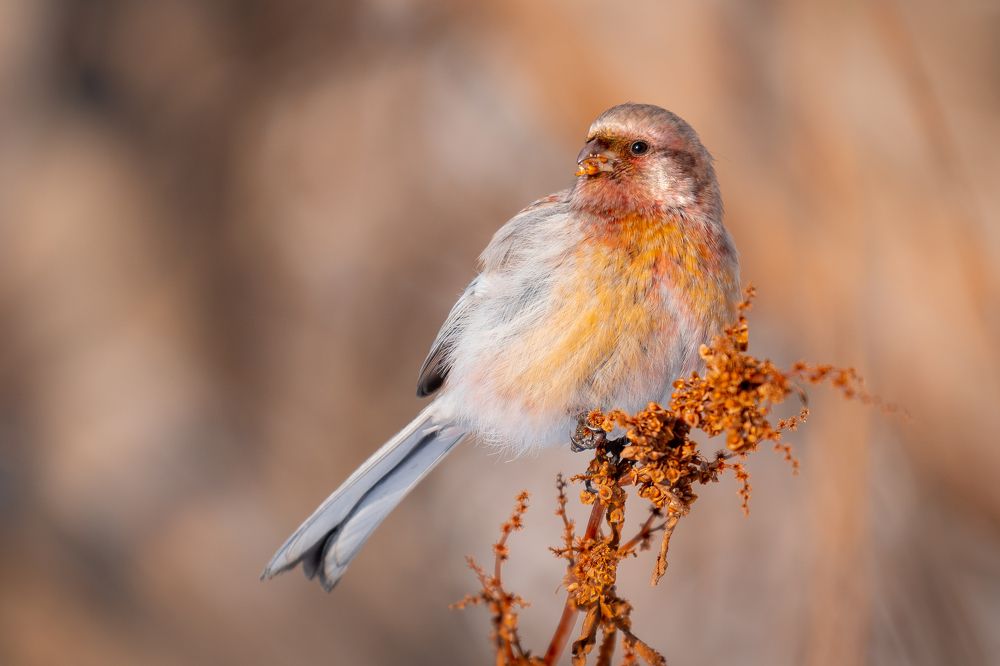 Photograph by Сергей Лебедев