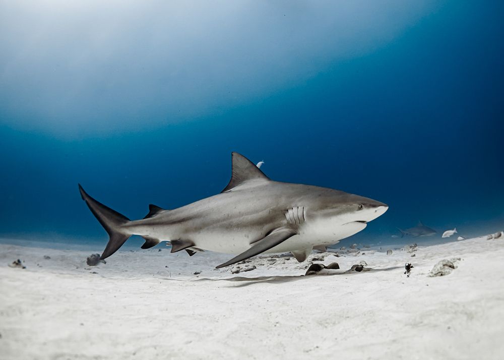 Photograph by mizael palomeque