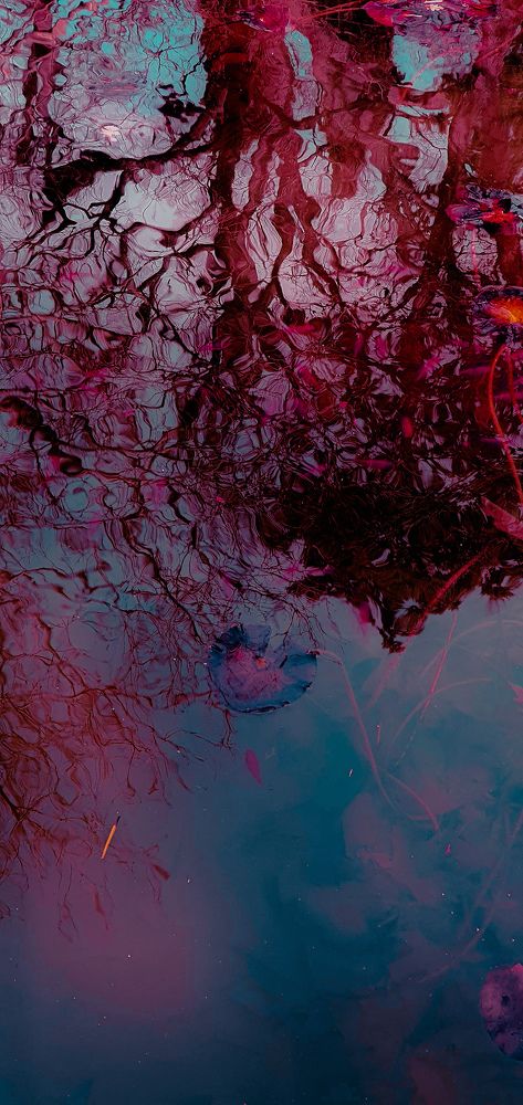 Отражения чувств.