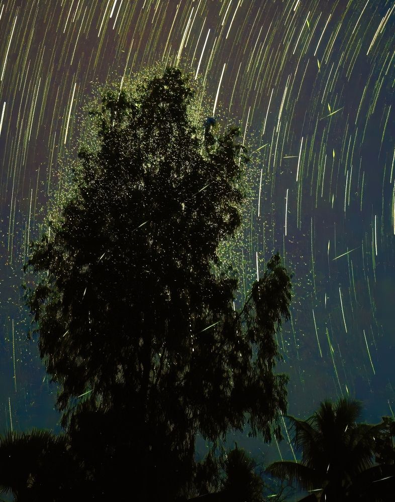 Photograph by Abhishek Manna