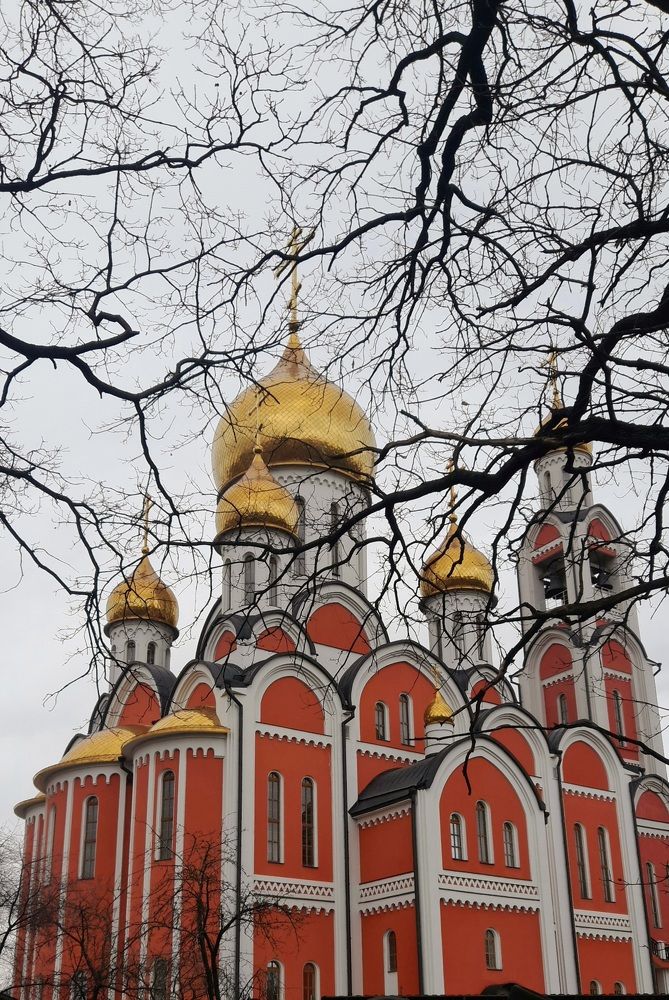 Фотография автора Владислава Андрюнина