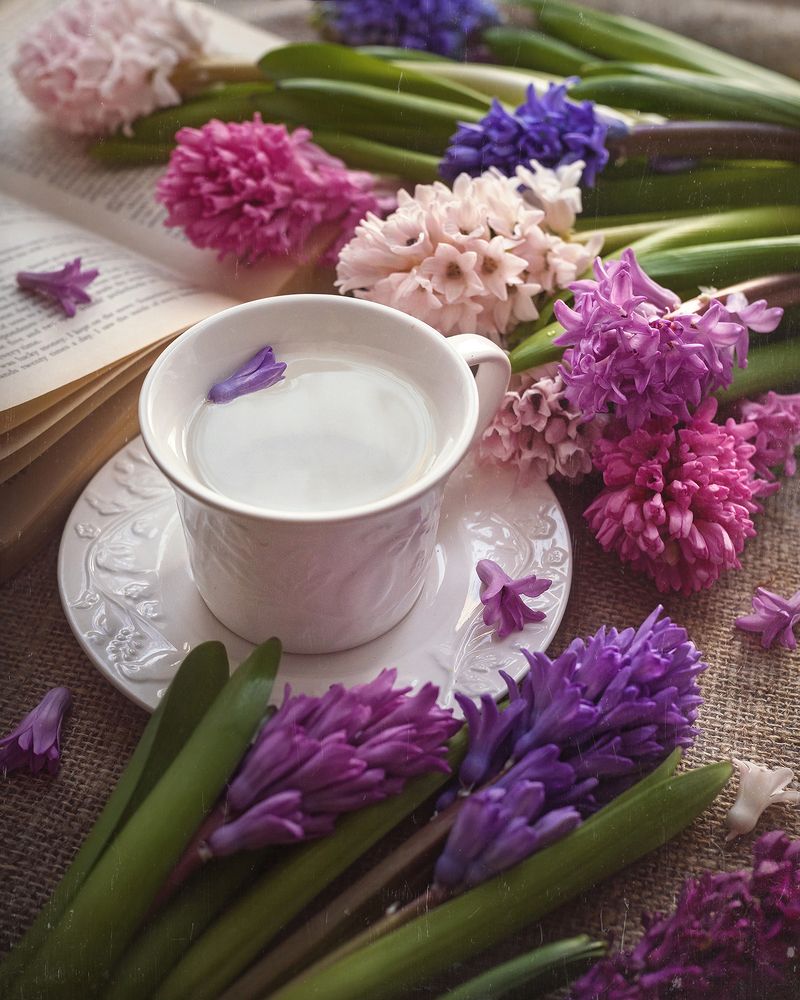 Photograph by Dana S.