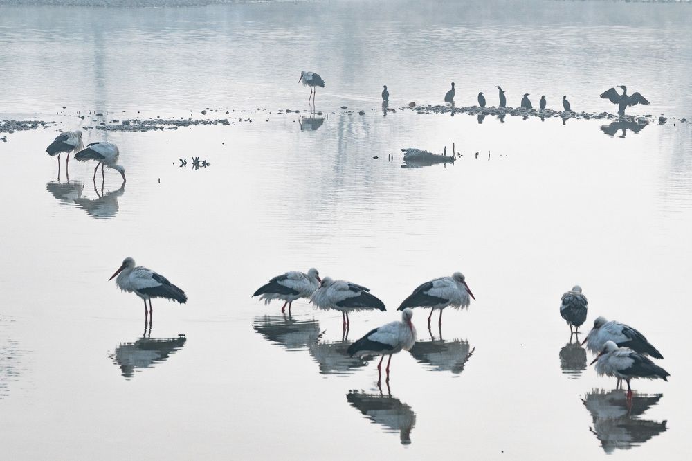 Photograph by Дмитрий