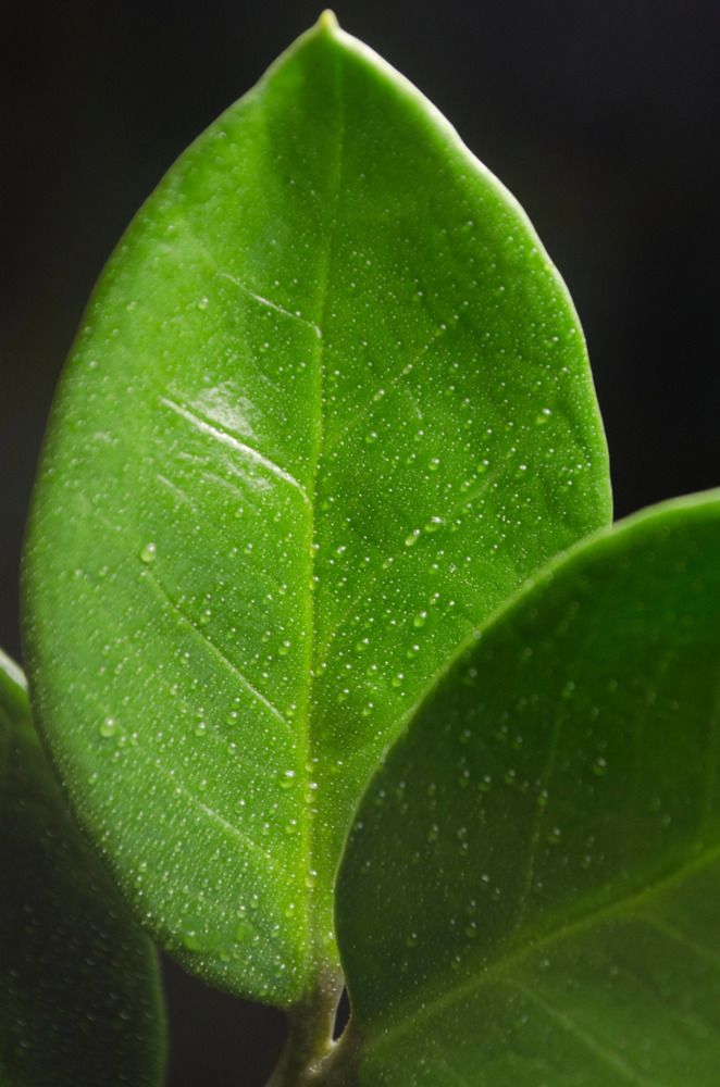 Photograph by Елена