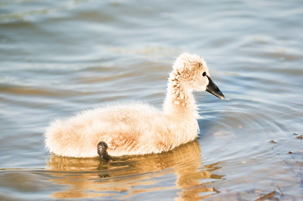 Photograph by Sanja Ristivojevic