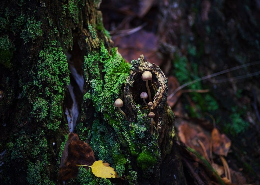 Фотография автора Валерий Лушин