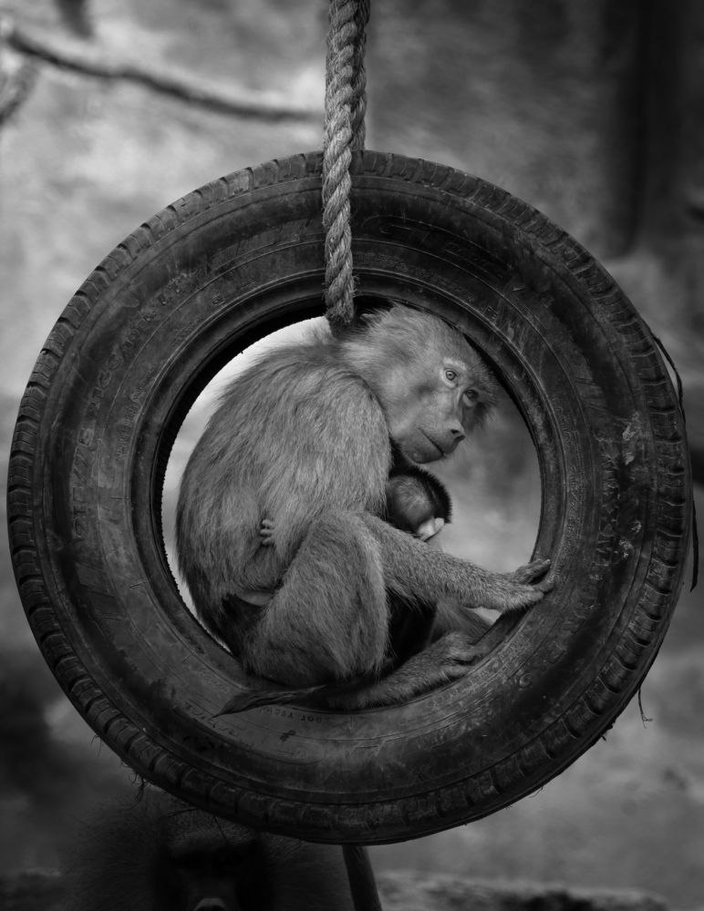 Photograph by Michael Angelo Luna