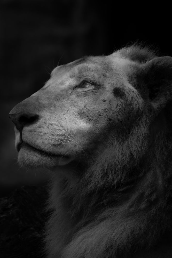 Photograph by Michael Angelo Luna