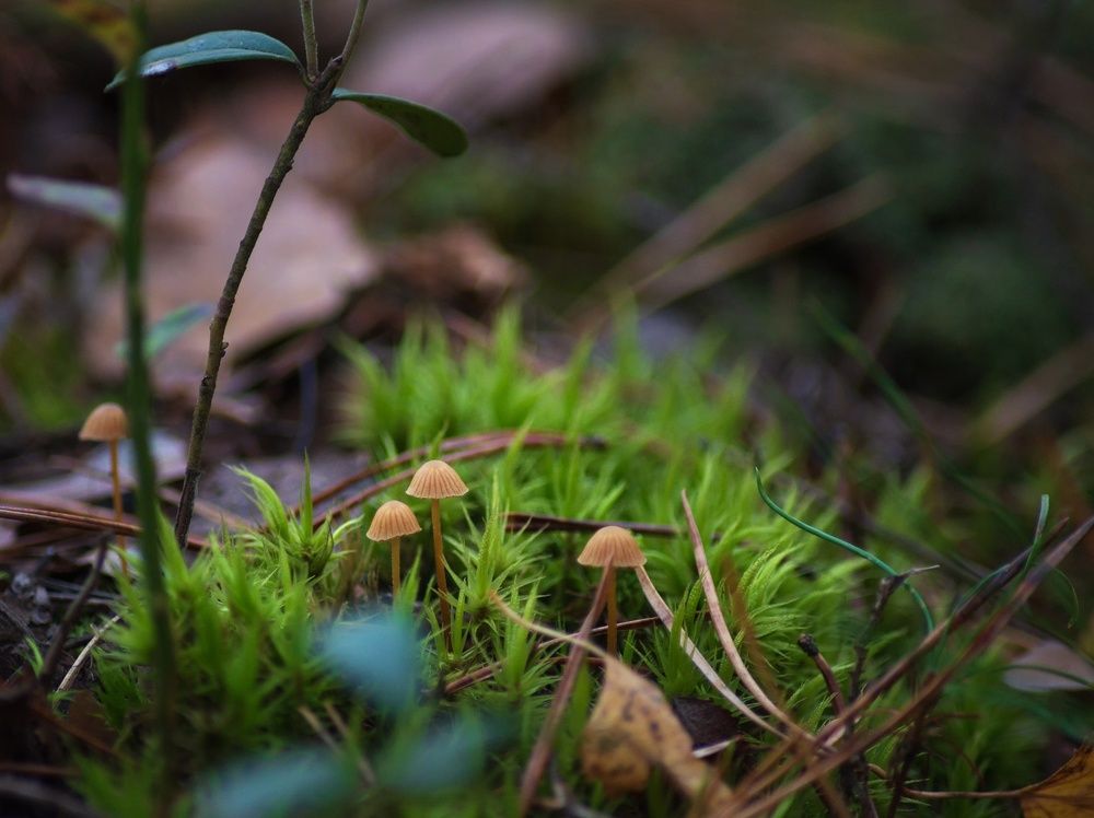 Фотография автора Валерий Лушин