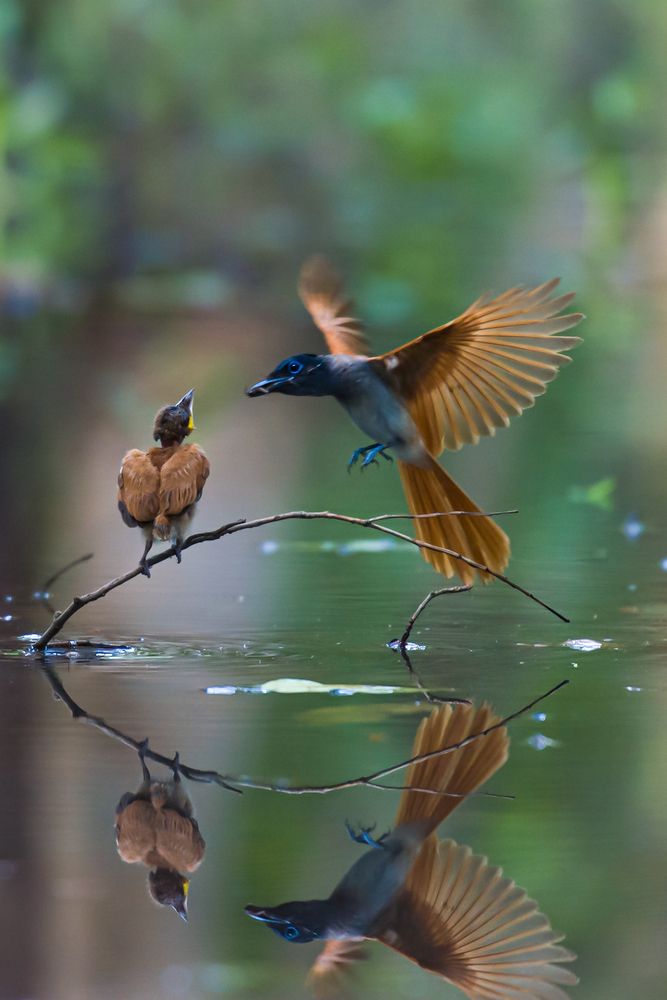 Photograph by RISHABH DEV VYAS