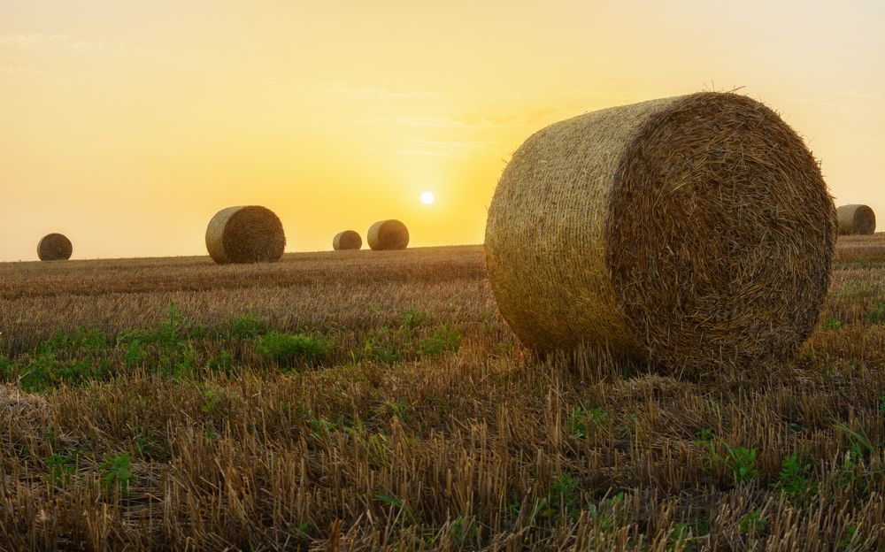 Photograph by Сергей Дишук