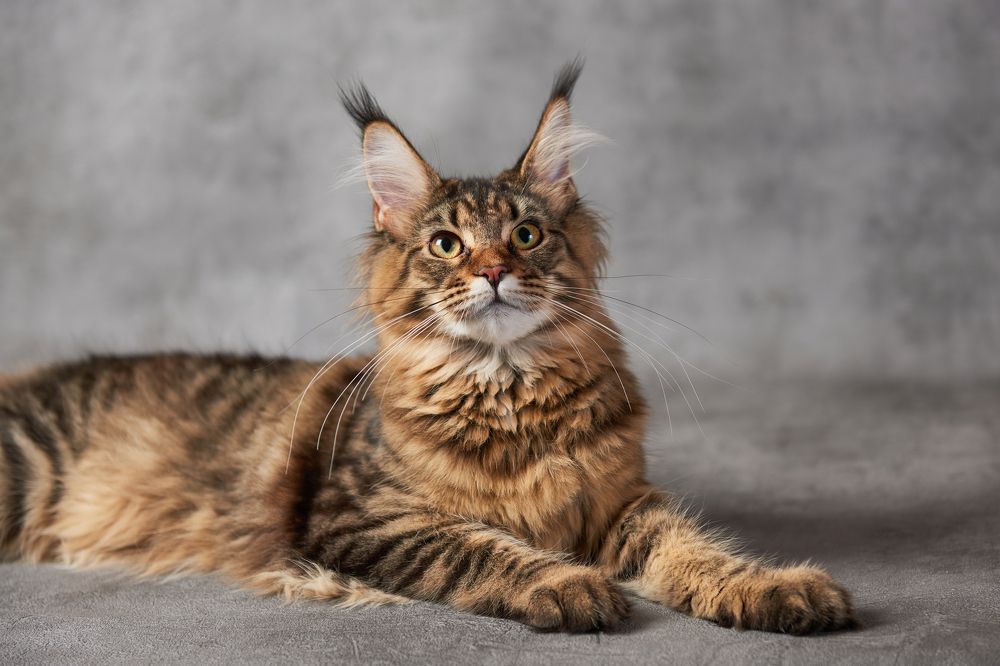 Photograph by Владимир Греков