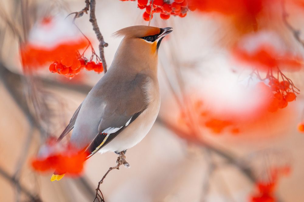 Photograph by Сергей Лебедев