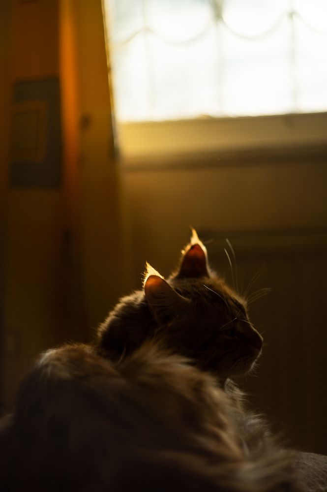 Photograph by Никита Колеганов