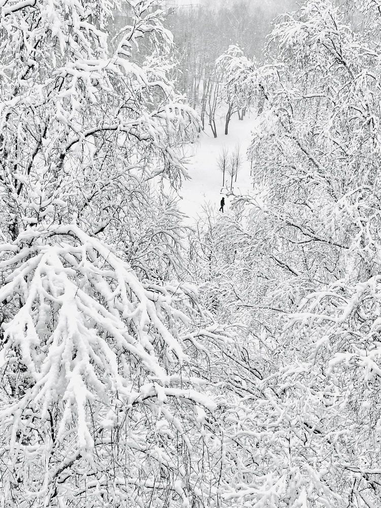 Photograph by Екатерина Шилкина