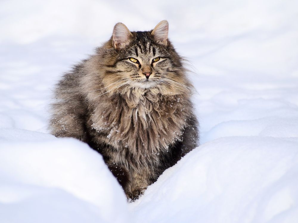 Photograph by Елена Данилова