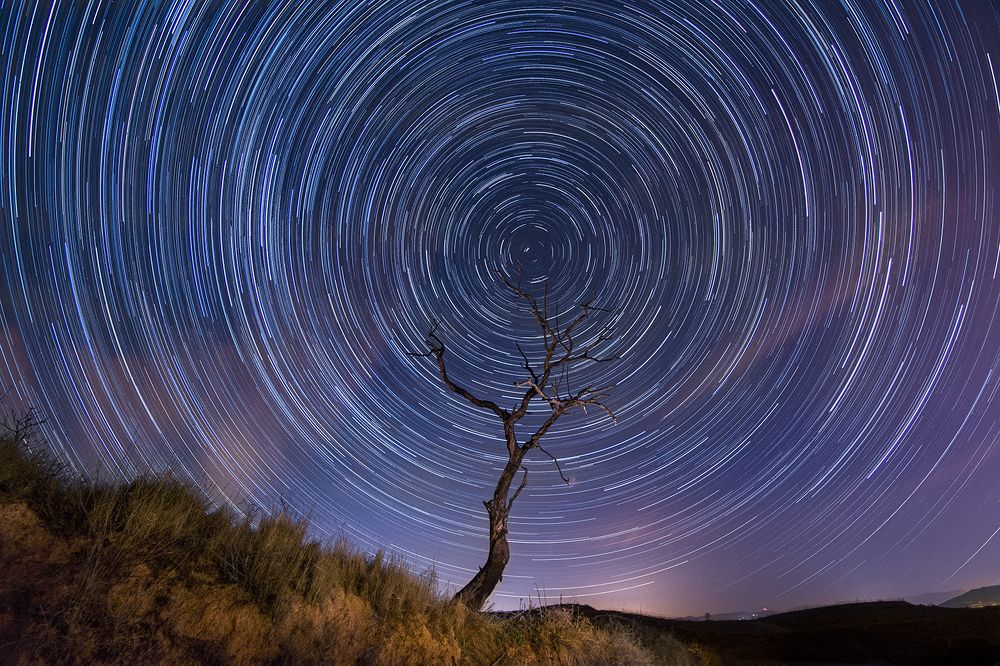 Startrails