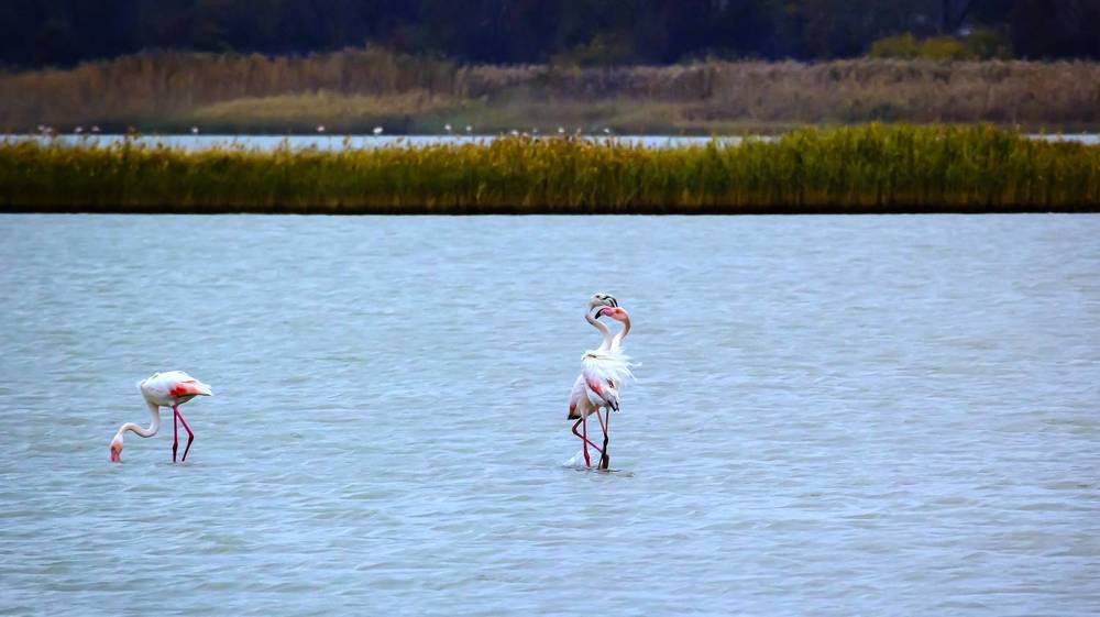 Photograph by Stamen Sotirov