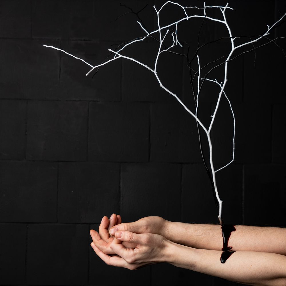 Photograph by Екатерина Симанкова