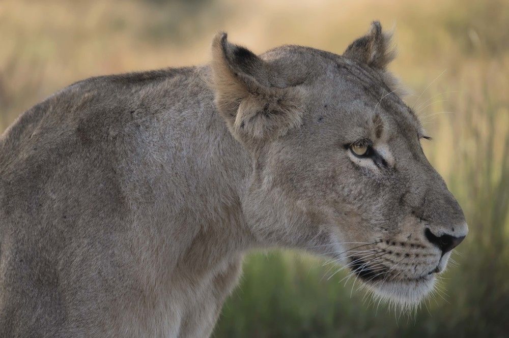 Photograph by Laima Kuriene