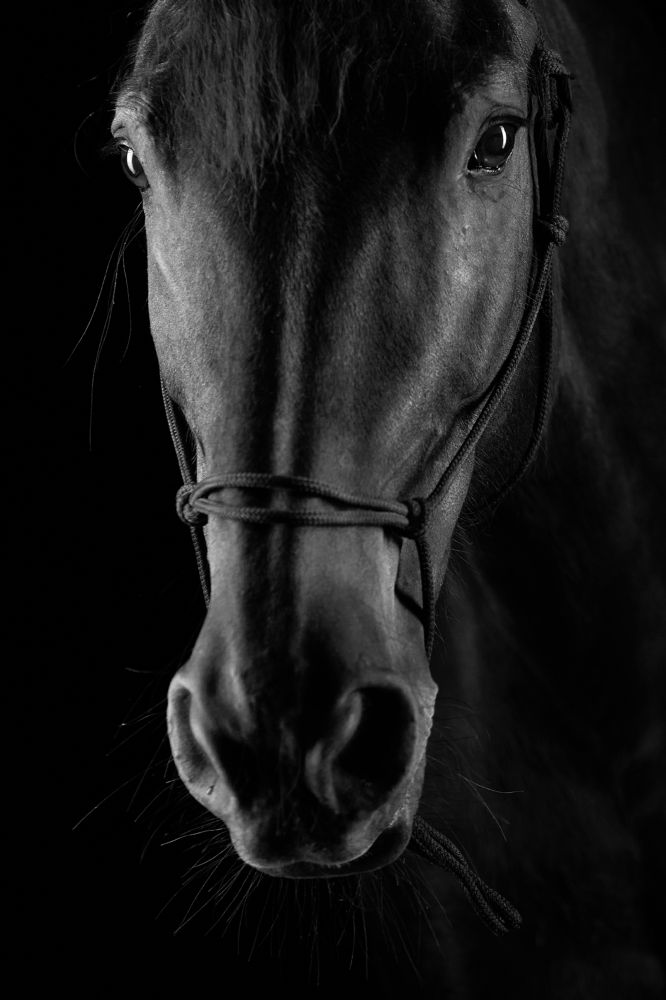 Photograph by Михаил Семенов