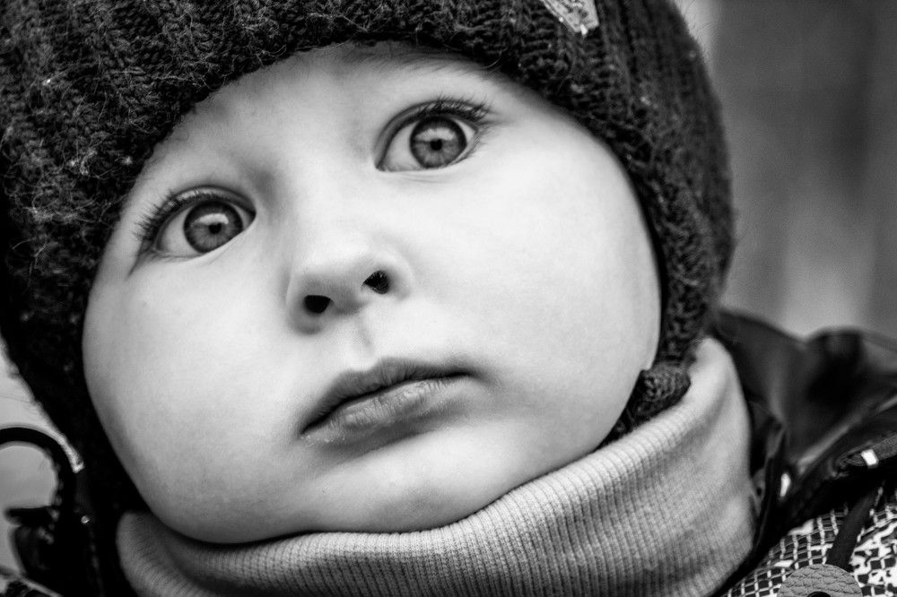 Фотография автора Виталий