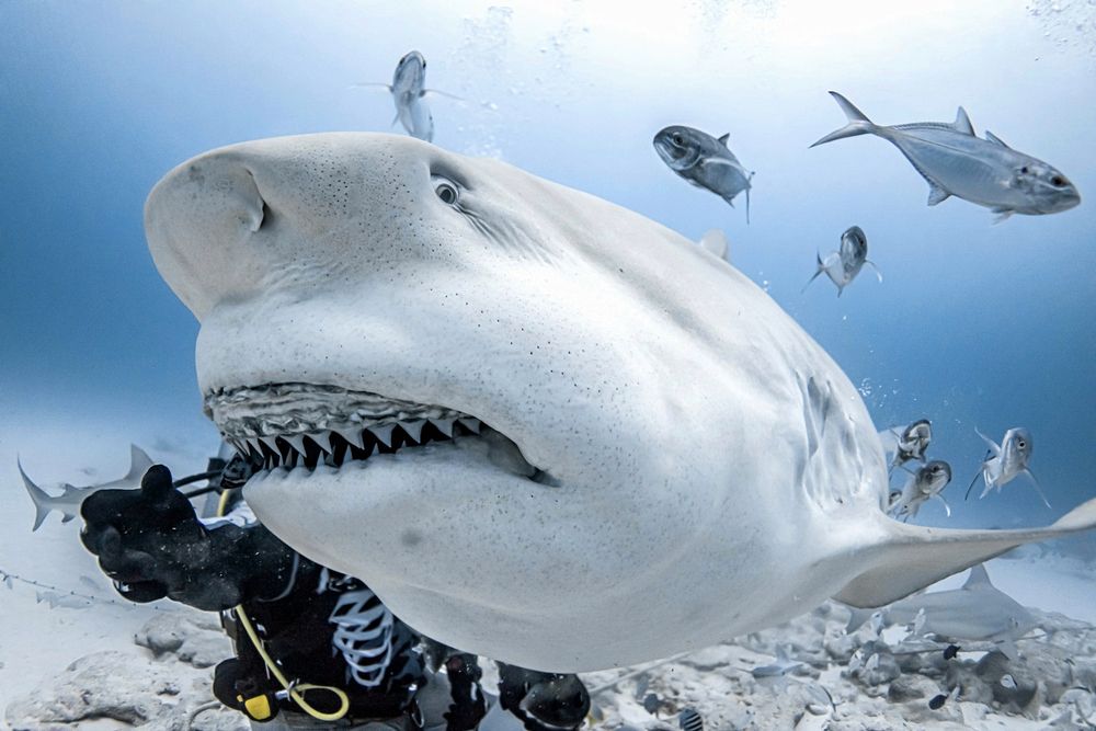 Photograph by mizael palomeque