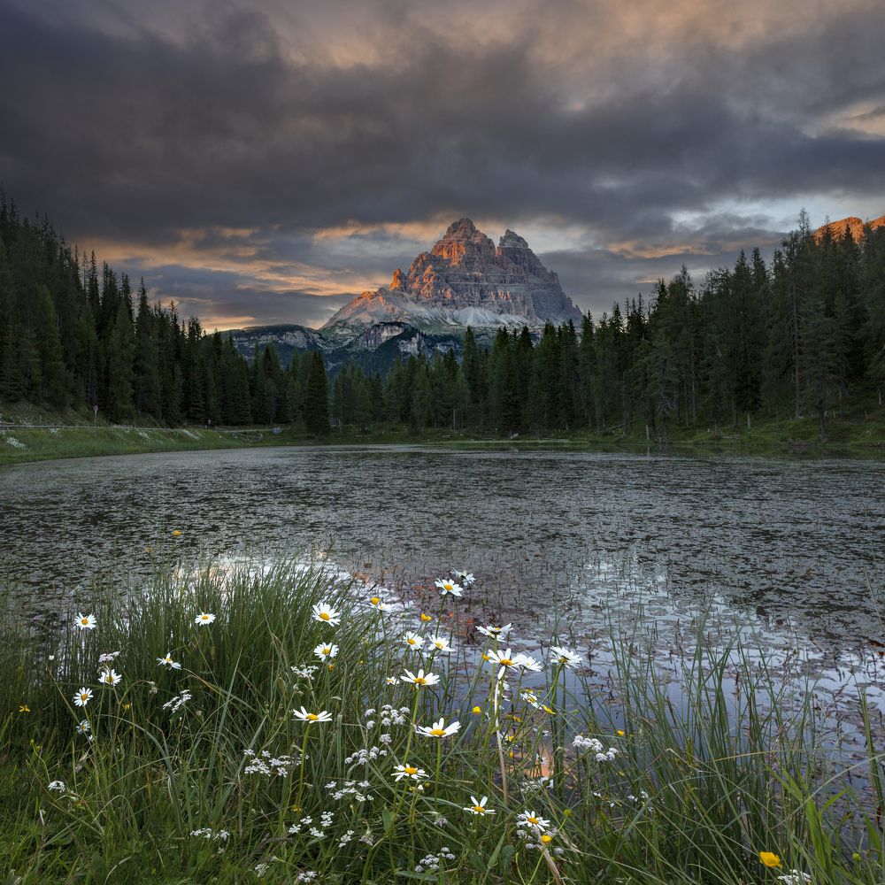 Photograph by Игорь Соколовский