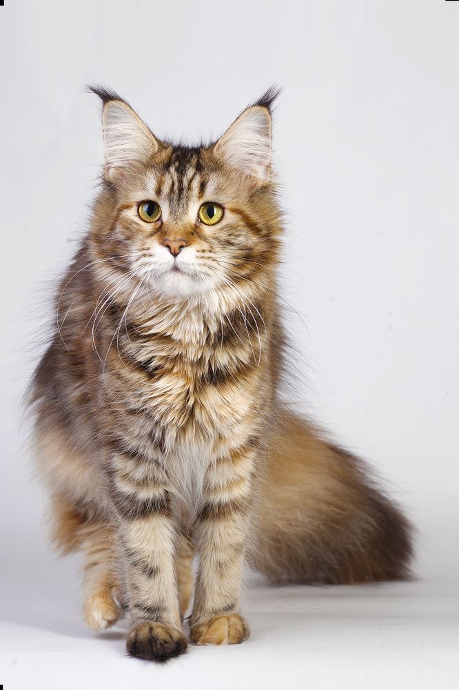 Photograph by Ирина Мамонова