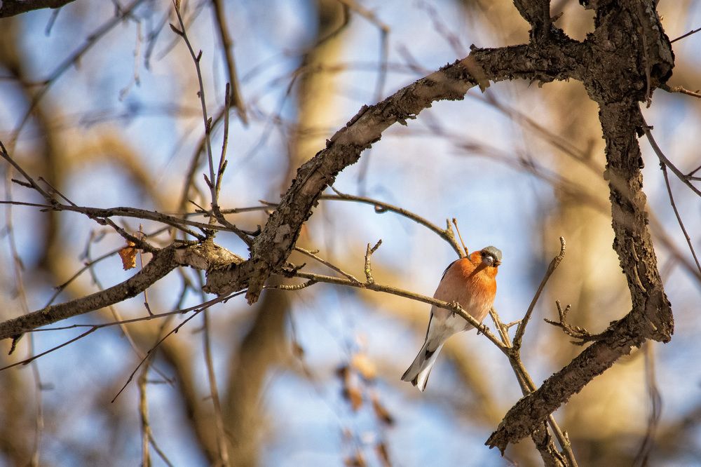 Photograph by Валерия Бахолдина