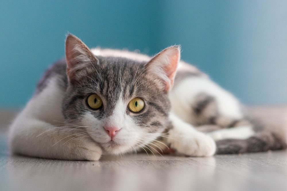 Фотография автора Виталий