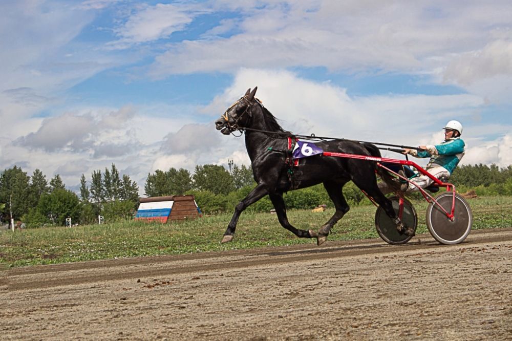 Photograph by Екатерина Першина