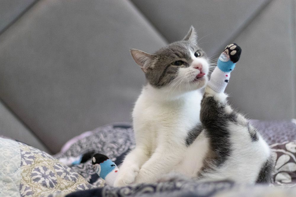 Фотография автора Виталий