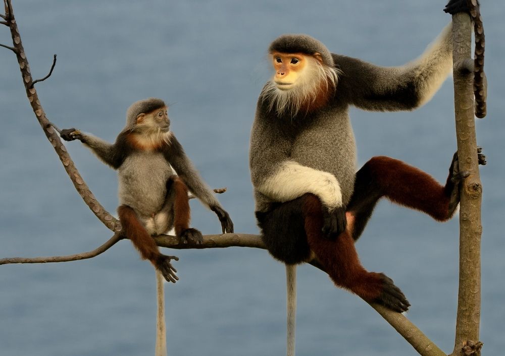 Photograph by Владимир Цветов