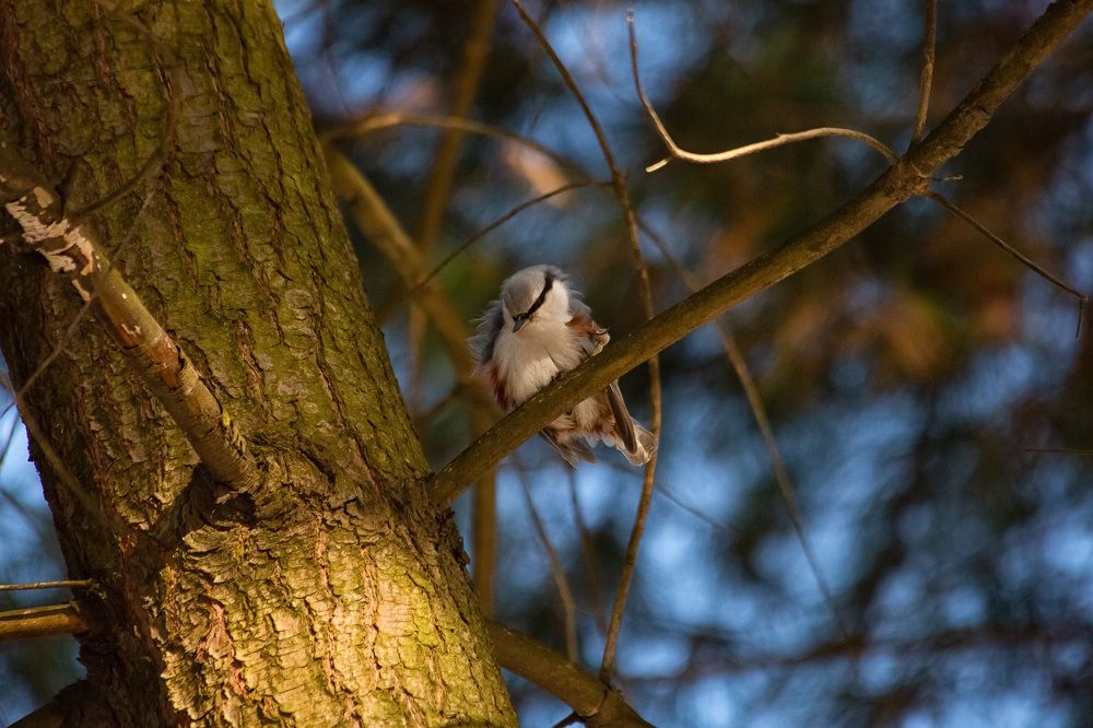 Photograph by Валерия Бахолдина