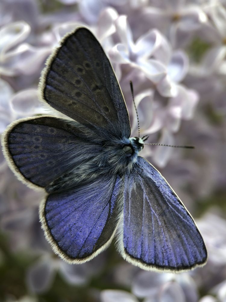 Photograph by Юлия Отставнова